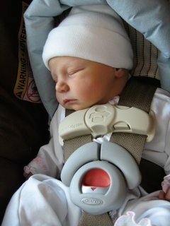 Cute newborn baby sleeping and strapped into a car seat 